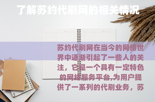了解苏约代刷网的相关情况