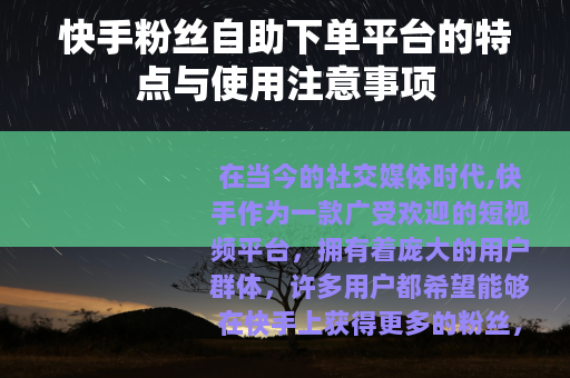 快手粉丝自助下单平台的特点与使用注意事项