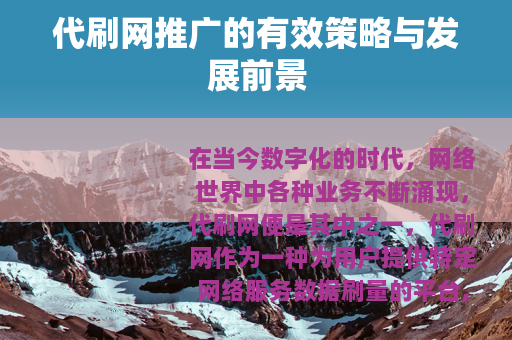 代刷网推广的有效策略与发展前景