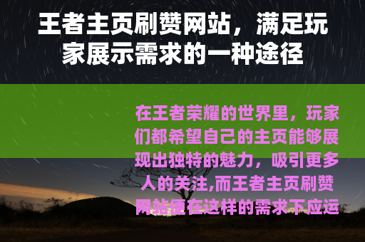 王者主页刷赞网站，满足玩家展示需求的一种途径