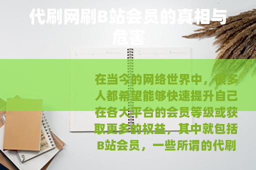 代刷网刷B站会员的真相与危害