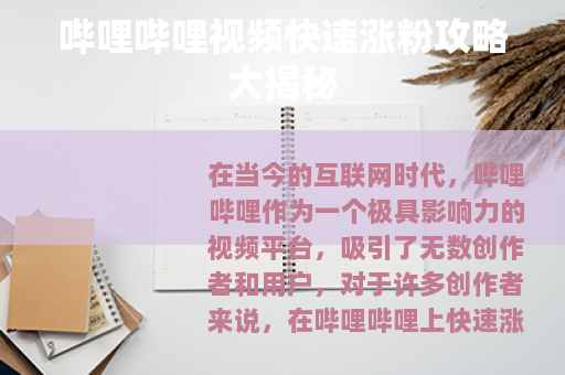 哔哩哔哩视频快速涨粉攻略大揭秘