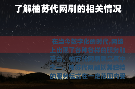 了解柚苏代网刷的相关情况