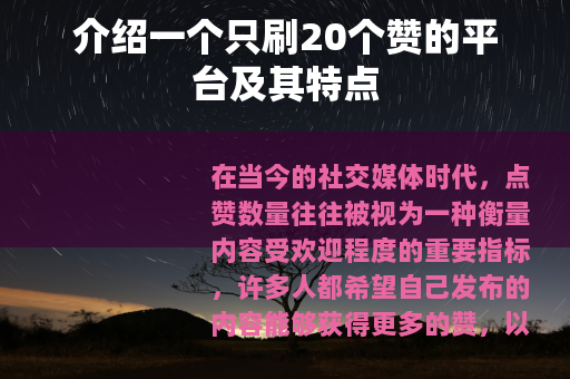 介绍一个只刷20个赞的平台及其特点