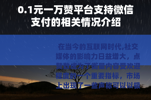 0.1元一万赞平台支持微信支付的相关情况介绍