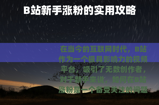 B站新手涨粉的实用攻略