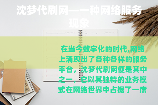 沈梦代刷网—一种网络服务现象