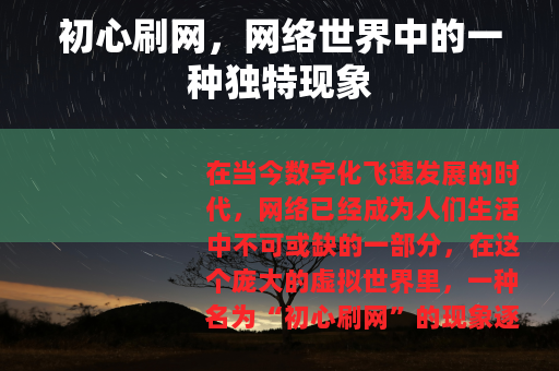 初心刷网，网络世界中的一种独特现象