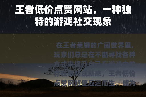 王者低价点赞网站，一种独特的游戏社交现象