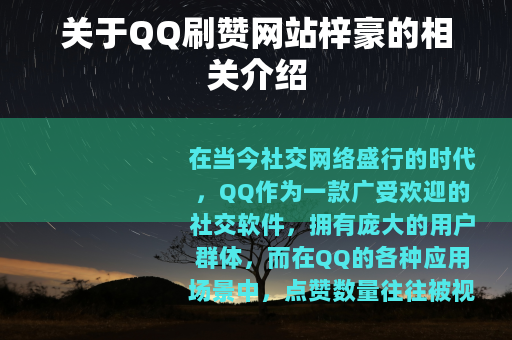 关于QQ刷赞网站梓豪的相关介绍
