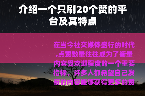 介绍一个只刷20个赞的平台及其特点