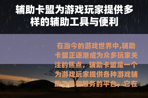 辅助卡盟为游戏玩家提供多样的辅助工具与便利