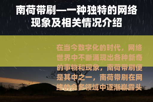 南荷带刷—一种独特的网络现象及相关情况介绍
