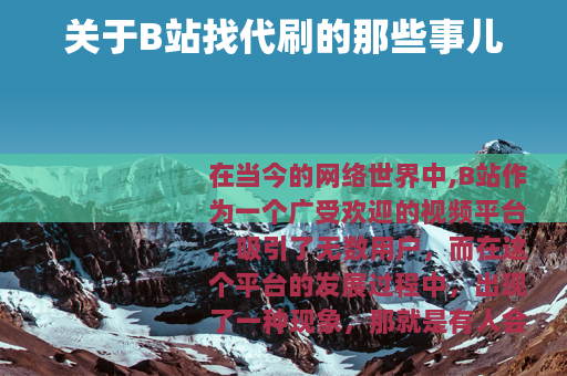 关于B站找代刷的那些事儿