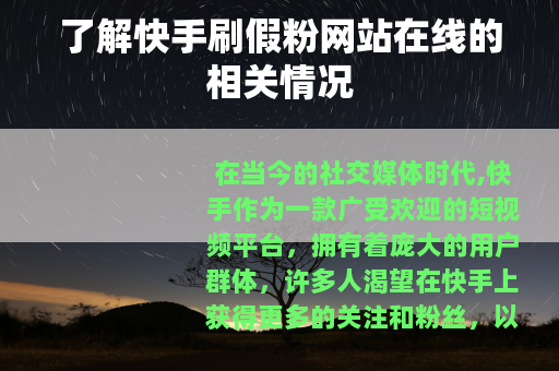 了解快手刷假粉网站在线的相关情况