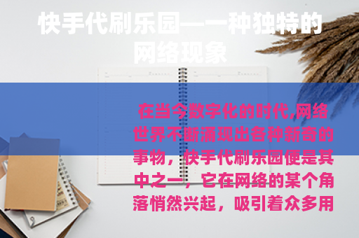 快手代刷乐园—一种独特的网络现象