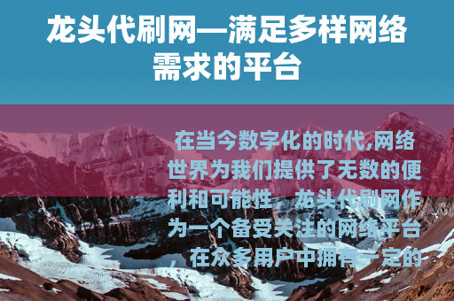龙头代刷网—满足多样网络需求的平台