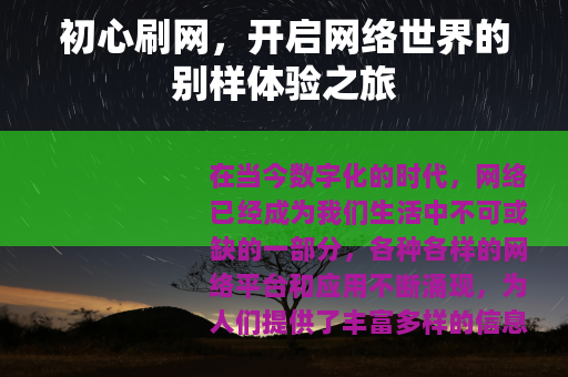 初心刷网，开启网络世界的别样体验之旅
