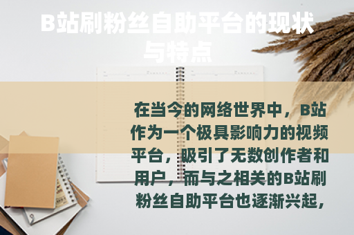 B站刷粉丝自助平台的现状与特点