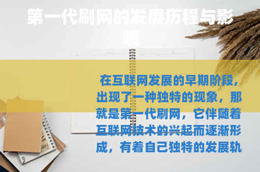 第一代刷网的发展历程与影响