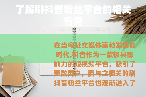 了解刷抖音粉丝平台的相关情况