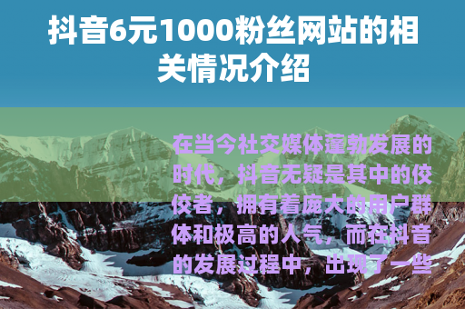 抖音6元1000粉丝网站的相关情况介绍