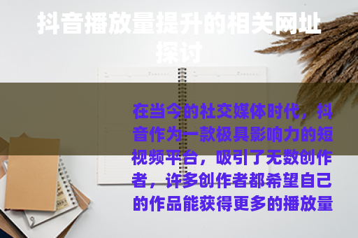 抖音播放量提升的相关网址探讨