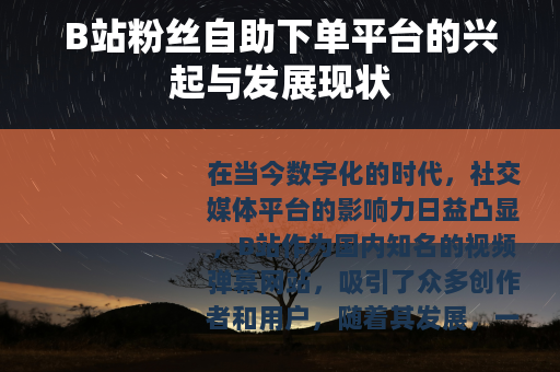 B站粉丝自助下单平台的兴起与发展现状