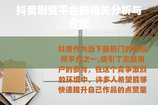 抖音刷赞平台的相关分析与介绍