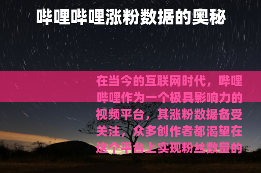 哔哩哔哩涨粉数据的奥秘