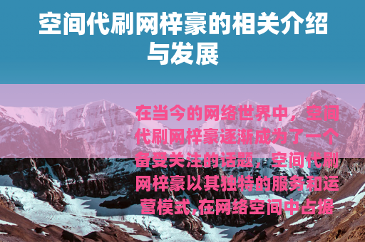 空间代刷网梓豪的相关介绍与发展