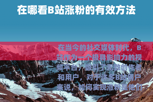 在哪看B站涨粉的有效方法