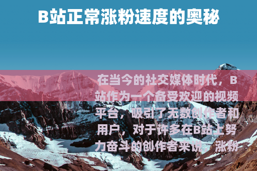 B站正常涨粉速度的奥秘