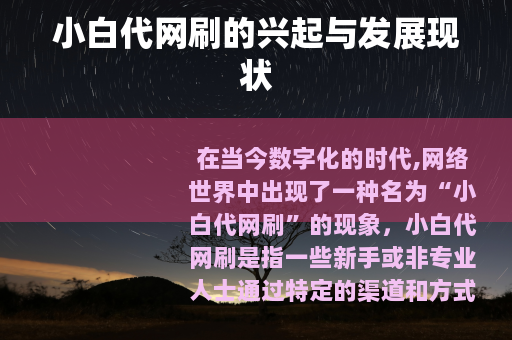 小白代网刷的兴起与发展现状