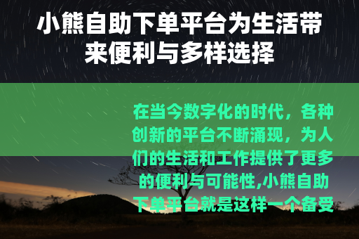 小熊自助下单平台为生活带来便利与多样选择