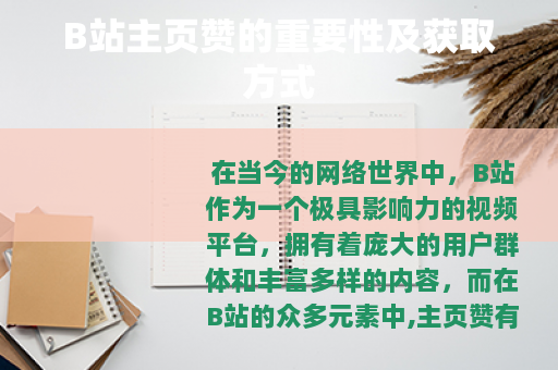 B站主页赞的重要性及获取方式