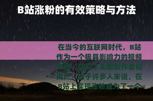B站涨粉的有效策略与方法