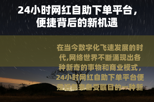 24小时网红自助下单平台，便捷背后的新机遇