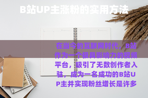 B站UP主涨粉的实用方法