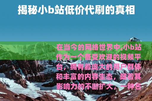 揭秘小b站低价代刷的真相
