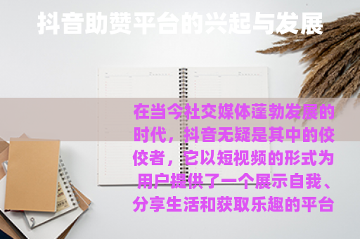 抖音助赞平台的兴起与发展