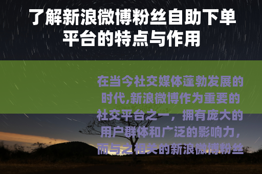 了解新浪微博粉丝自助下单平台的特点与作用