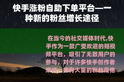 快手涨粉自助下单平台—一种新的粉丝增长途径