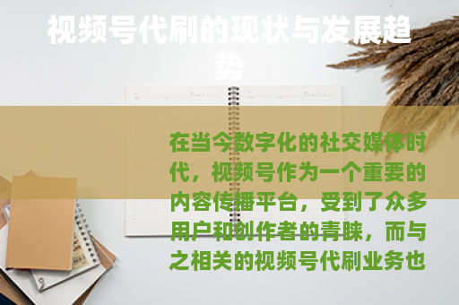 视频号代刷的现状与发展趋势