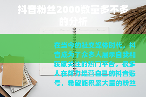 抖音粉丝2000数量多不多的分析