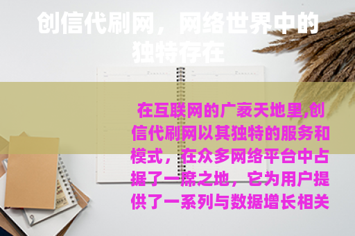 创信代刷网，网络世界中的独特存在