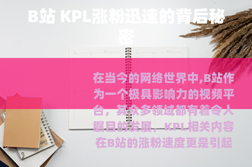 B站 KPL涨粉迅速的背后秘密