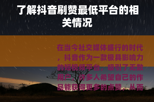 了解抖音刷赞最低平台的相关情况