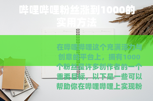 哔哩哔哩粉丝涨到1000的实用方法