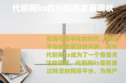 代刷网ks的兴起与发展现状